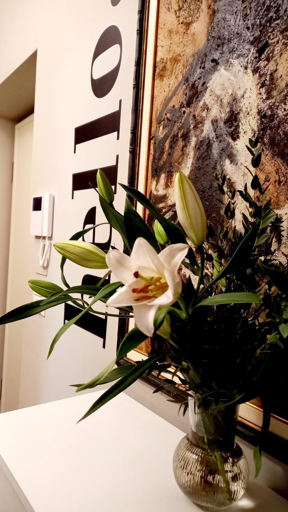 Sky Loft Nuovissimo Vicinanze Metro Apartment Turin